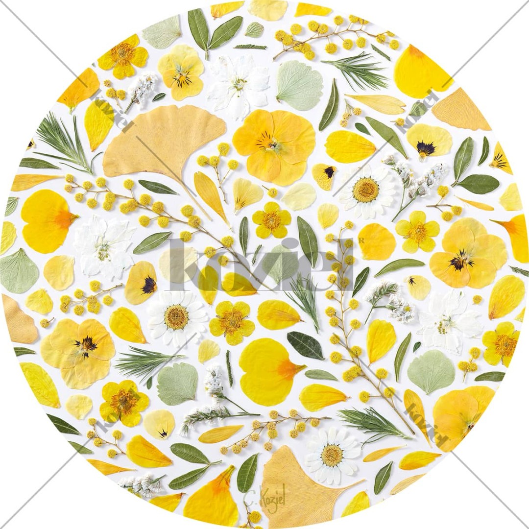 Asian garden herbarium round vinyl placemat